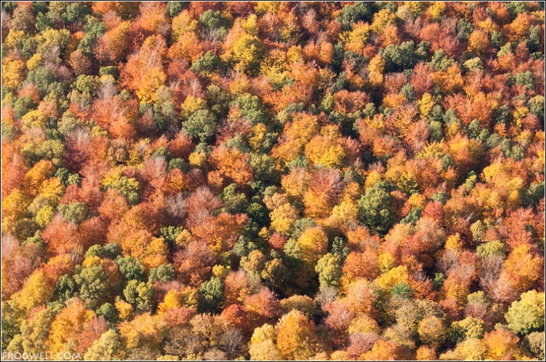 Autumn colours from the air near Dunblane.jpg